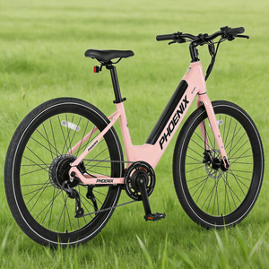 <span class=keywords><strong>Bicicleta</strong></span> Eléctrica Nueva de Fábrica, Modelo 700CC, Cuadro Reforzado de Acero al Carbono, 36V 350W, Motor sin Escobillas, Batería de Litio, <span class=keywords><strong>Bicicleta</strong></span> Eléctrica de Montaña, Delantera/Trasera - Product Image 1