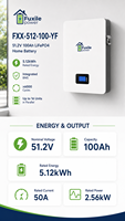 Batterie murale de stockage d'énergie solaire hors réseau pour la maison, 51,2 V 100 Ah 5,12 kWh, batterie LiFePO4 avec communication RS485 CAN