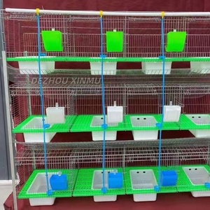 Cages à lapins de bonne qualité, galvanisées à chaud, à longue durée de vie, 12 positions, pour bébés lapins, à vendre - Product Image 1
