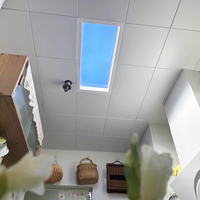 SUEZ-Panneau de lucarne rectangulaire à led pour plafond, éclairage intégré