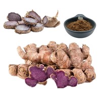 Ekstrak Jahe Hitam Thailand Berkualitas Tinggi Bubuk 10:1 20:1 Ekstrak Irisan Akar Kaempferia Parviflora Kering Thailand Harga 1kg