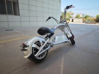 Scooter électrique Citycoco 2026 City Scooter 4000W longue portée pour adultes, design classique, scooter électrique Citycoco pour adultes, chopper City Coco avec batterie au lithium