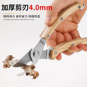 Pinheng Ph64 Straight Head Pruning Shears 3Cr13 Steel 8.8Cm Blade Wood Handle Garden Trim <b>Tool</b> For Fine Branches And Flowers - Product Image 4