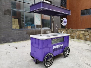 Carrito de Helados Personalizado con Toldo para la Venta Ambulante - Product Image 2