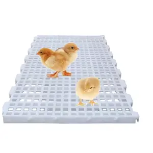 Produit de clats de plancher de poulet 2022 Offre Spéciale