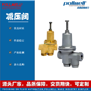 Régulateur de pression d'eau Pollmell 200P en laiton fileté, haute précision, grand débit - Product Image 1