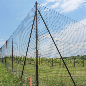 Orchard Netting Anti Bird <strong>Brid</strong> <strong>Net</strong> Cat Repellent Outdoor Scat Mat Bird Spikes for Pigeons Bird Blinder