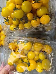 300g tùy chỉnh nhựa Rau Trái Cây <span class=keywords><strong>container</strong></span> với nắp đậy trái cây bao bì hộp cho Cherry cà chua - Product Image 3