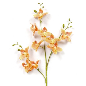 Otras flores y plantas decorativas al por mayor 3 ramas Impresión 3D Decoración <span class=keywords><strong>de</strong></span> la boda del hogar Orquídea <span class=keywords><strong>de</strong></span> látex <span class=keywords><strong>de</strong></span> tacto real para la <span class=keywords><strong>venta</strong></span> - Product Image 5