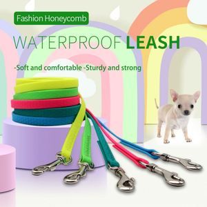 Laisse de promenade pour animaux de compagnie en nylon solide en PVC imperméable avec rivets métalliques pour chat, chien, lapin, extérieur, quatre saisons - Product Image 2