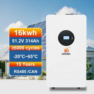 Système de stockage d'énergie domestique 51,2 V 314 Ah 16 kWh tout-en-un, <span class=keywords><strong>batterie</strong></span> <span class=keywords><strong>solaire</strong></span> LiFePO4 au lithium à montage mural avec écran LCD - Product Image 1