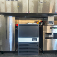 Machine à glaçons commerciale RONCHIN avec compresseur 220V, pompe à eau, production de 25 kg, facile à utiliser pour hôtels, foyers, restaurants et cuisines