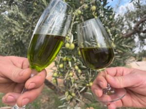 Aceite de Oliva Virgen Extra Orgánico Cosecha Temprana España 2025 Oro La Senda Almazara Aceite de Cocina Aceite Vegetal de Calidad - Product Image 4