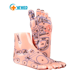 Truyền Thống Trung Quốc y tế giải phẫu mô hình chân châm cứu điểm manikin PVC nhựa cơ thể con người phác thảo - Product Image 1
