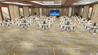 Usine personnalisée cinq étoiles hôtel salle de banquet couloir chambre 80% laine 20% nylon mélange Axminster tapis ignifuge