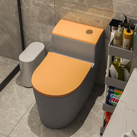 Inodoro de Cerámica de Lujo a Precio Económico, Sanitarios de Alta Gama, Inodoro Gris, Inodoro de Pie para Baño