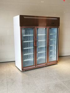 ตู้แช่แข็งกระจกบานเลื่อนแบบตั้งตรงสำหรับธุรกิจ - Product Image 1