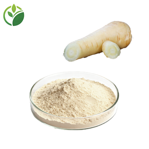 Polvo de Pastinaca a Granel, Suministro Directo de Fábrica con Muestra Gratuita, Polvo de Raíz de Pastinaca Rico en Fibra, Calidad Premium para Panadería - Product Image 2