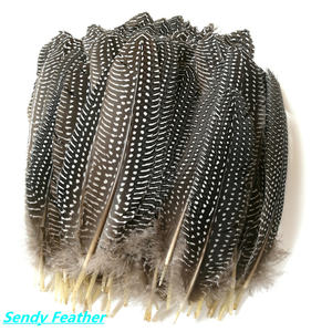 Pluma <span class=keywords><strong>de</strong></span> Gallo <span class=keywords><strong>de</strong></span> Guinea Natural <span class=keywords><strong>de</strong></span> 15-20 cm, <span class=keywords><strong>de</strong></span> Alta Calidad y al <span class=keywords><strong>Precio</strong></span> Más Bajo, Venta al Por Mayor, Fabricante Chino - Product Image 4