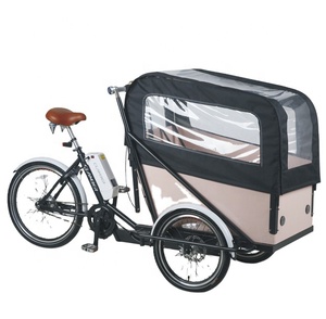 UB9036E-triciclo eléctrico para adulto, con ruedas, 36V, 9Ah - Product Image 1