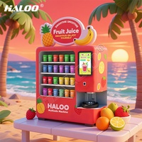 Haloo Smart Desktop Vers Fruit Smoothie Automaat Smart Desktop Vers Fruit Smoothie Automaat SDK Diepvriesfruit