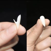Dents de vampire crocs avec adhésif Halloween horreur fausses prothèses dentaires mascarade Cosplay accessoires décoration de fête 13/15/17/19mm