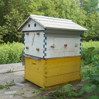 2 Ruches Super Brood Boxes pour Abeilles Golden Palace, Ruche à Flux Automatique Sans 7 Cadres de Flux Automatique