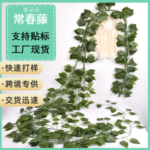 Guirlandes décoratives en lierre artificiel de 3 m de long, verdure artificielle pour décoration murale de la maison - Product Image 5