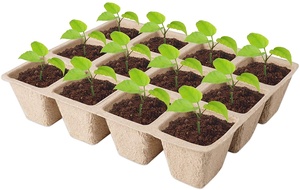 <span class=keywords><strong>Pot</strong></span> en tourbe de papier biodégradable, lot de 10, plateau de <span class=keywords><strong>semis</strong></span> à 12 alvéoles, 16x12x5cm, 21x17x5cm, <span class=keywords><strong>pour</strong></span> la germination des plantes - Product Image 3