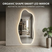 Miroir mural LED irrégulier pour chambre à coucher, miroir nuage rétroéclairé pleine longueur, miroir de salon d'hôtel avec éclairage LED