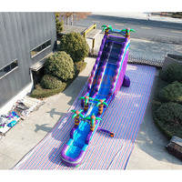 Toboggan aquatique gonflable commercial pour enfants