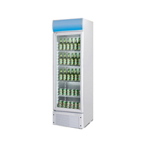 Refroidisseur de boissons commercial 300L réfrigérateur vitrine de congélation de fruits à température unique pour l'affichage de matériel en verre de climat frais de barre