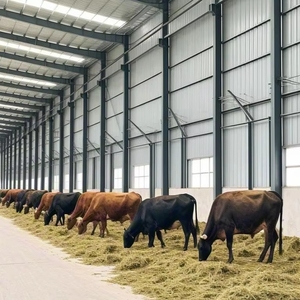 Các nhà sản xuất có nguồn gốc Trung Quốc cung cấp thiết kế chuồng Kết Cấu Thép, chuồng trại gia súc và chuồng gia súc kết cấu thép. - Product Image 2