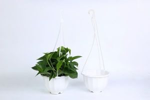 Wholesale Colorful <b>Plastic</b> Hanging Flower Pots with Hooks Wavy <b>Edge</b> Decorative Planters for Balcony Garden Vietnam Small Size - Product Image 5