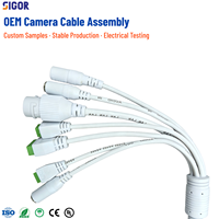 Cable Pigtail Impermeable IP66 para Cámara IP, PVC/PTFE, RJ45, DC Audio, RS485, Arnés de Red de Alarma I/O para Sistemas de Seguridad CCTV