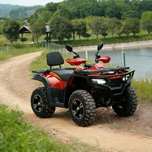 <span class=keywords><strong>Quad</strong></span> tout-terrain familial à transmission automatique par arbre de transmission, moteur à essence >300cc, idéal pour les excursions de week-end - Product Image 2
