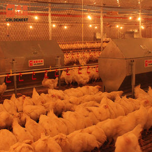 Équipement d'élevage de volailles complet Ligne d'alimentation pour éleveur Chaîne-disque Ligne d'alimentation pour volailles - Product Image 3