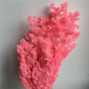 <span class=keywords><strong>Helechos</strong></span> de Ming al por Mayor, <span class=keywords><strong>Helechos</strong></span> Secos y Preservados de Myrioeladus para Bodas, Año Nuevo Chino, Ramos de Navidad, Decoración del Hogar - Product Image 2