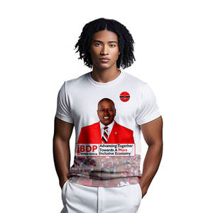 Camisetas de Hombre de Poliéster/Algodón Antiarrugas Ecológicas Personalizadas al por Mayor de Fábrica Gahumi, Camisetas de Venta Caliente para las Elecciones de Botsuana - Product Image 4
