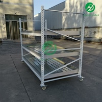 Serre agricole hydroponique, banc de semis à flux et reflux, tables de culture verticale, étagère de culture intérieure multicouche