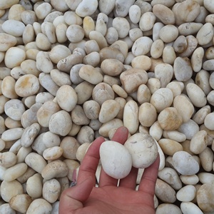 Vendedor caliente guijarros naturales blancos guijarros mate no pulidos para la decoración del tanque de peces del camino del jardín - Product Image 3