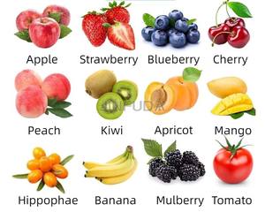 Presse presse-agrumes Extracteur de <span class=keywords><strong>jus</strong></span> de banane et fruits De Production De <span class=keywords><strong>Jus</strong></span> pour les composants de légumes et d'engrenages - Product Image 5