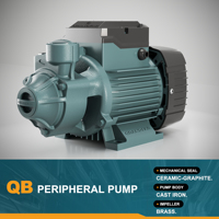 GRANDFAR QB50 125W 220V Pompe à Eau Périphérique Haute Pression avec Moteur en Cuivre Pur, Surpresseur Électrique de Surface