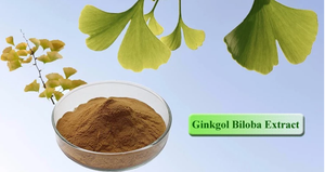 Extrait naturel de glycosides flavonoïdes 24 % / Glycoside phénolique / Extrait de Ginkgo Biloba - Product Image 4