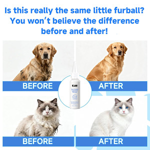 สินค้า<span class=keywords><strong>ใหม่</strong></span>สำหรับดูแลสัตว์เลี้ย<span class=keywords><strong>ง</strong></span> แปรงนวดสัตว์เลี้ยงแบบพ่นไอน้ำ น้ำยาเติมสำหรับสุนัขและแมว แชมพูเข้มข้นแบบไม่ต้องล้างออก หวีสำหรับสัตว์เลี้ยง เซรั่มบำรุ<span class=keywords><strong>ง</strong></span>แบบไม่ต้องล้างออก - Product Image 4