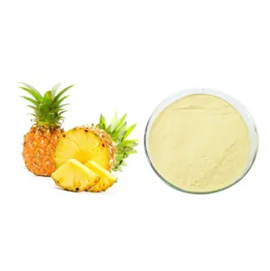 Prix en gros de qualité supérieure poudre de fruits biologiques en spray poudre d'ananas sec