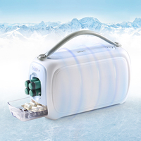 Boîte isotherme portable pour le stockage de l'insuline, refroidisseur de bouteilles rechargeable, sac isotherme, refroidisseur d'insuline fonctionnant sur batterie, étui de voyage