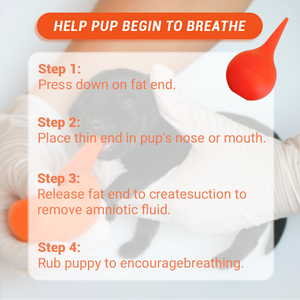 BLUENJOY Ensemble de naissance pour animaux de compagnie Pack de livraison pour animaux de compagnie Paquets de maternité <span class=keywords><strong>Kit</strong></span> de soins post-partum Packs de naissance stériles jetables pour animaux de compagnie - Product Image 5