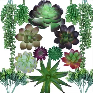 Wholesale Decorative Mini Cactus Assortment Outdoor Indoor Succulents Arrangement Artificial Plants Succulent for Sale
