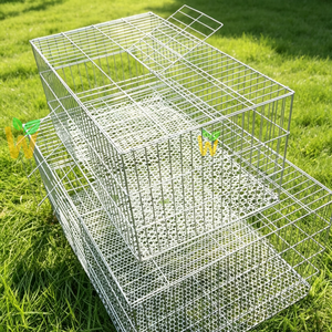 Accessoires pour cage à perroquets, cage à oiseaux, cage à pigeons, jaulas para palomas, petite cage à oiseaux - Product Image 2